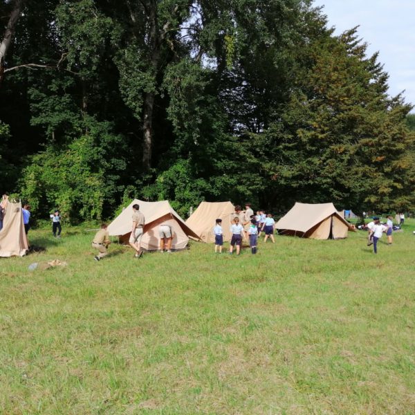 Camps scout d'été